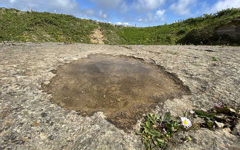Dinosaur footprint at Keates Quarry